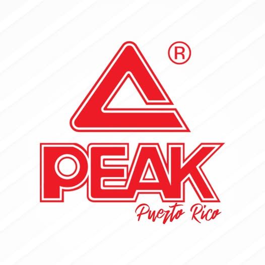 PEAK VOLLEYBALL MICROFIBER BALL #5- QW59075 (Professional Use) LVSM