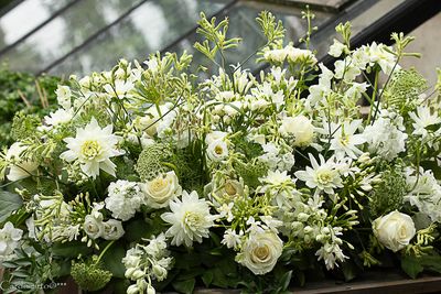 zuiver kistbedekking