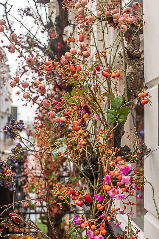 Gevelversiering herfst/kerst
