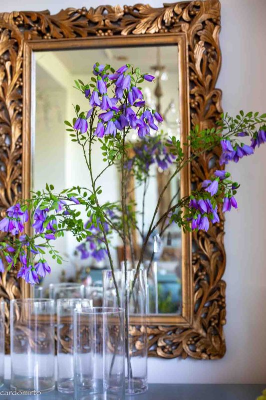 OPRUIMING ZIJDEN TAK WISTERIA