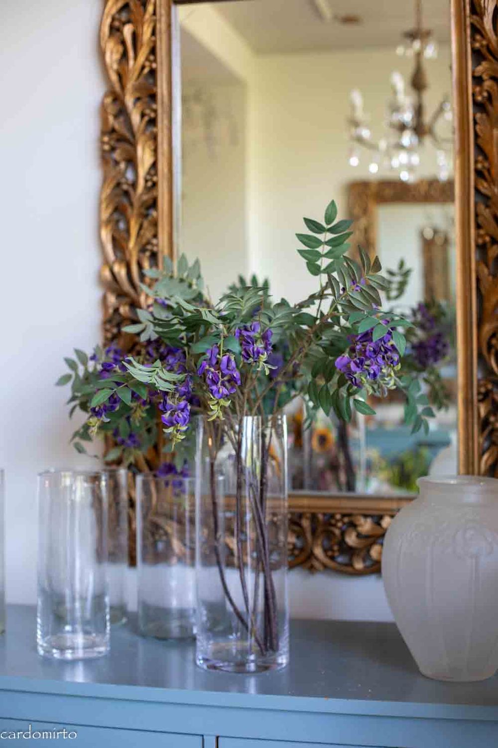 blauwe regen (wisteria )