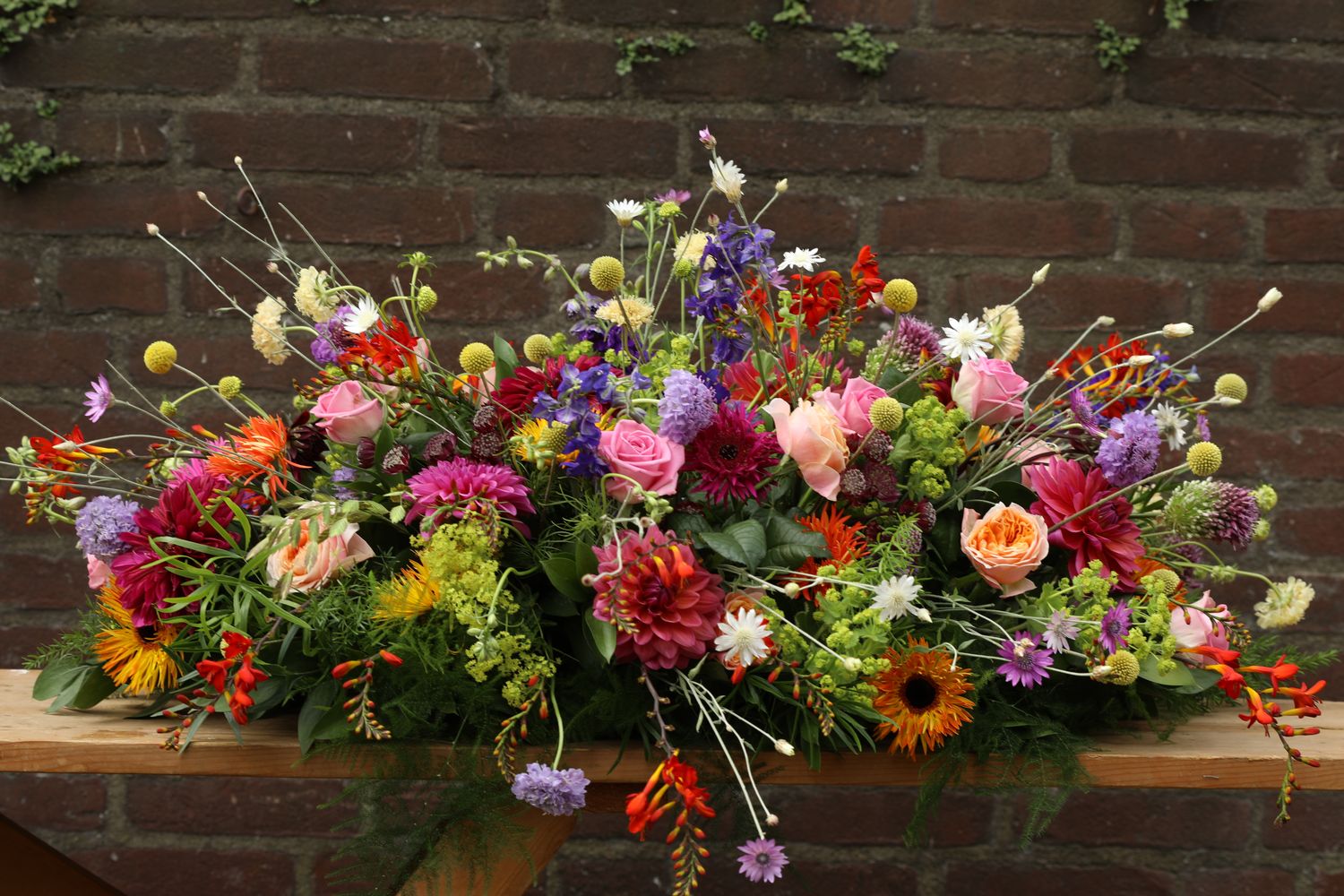 spring in het veld