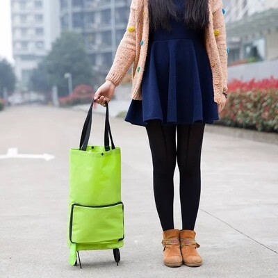 Sac de courses pliable avec roulettes.