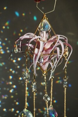 Floral suncatcher JASMINE