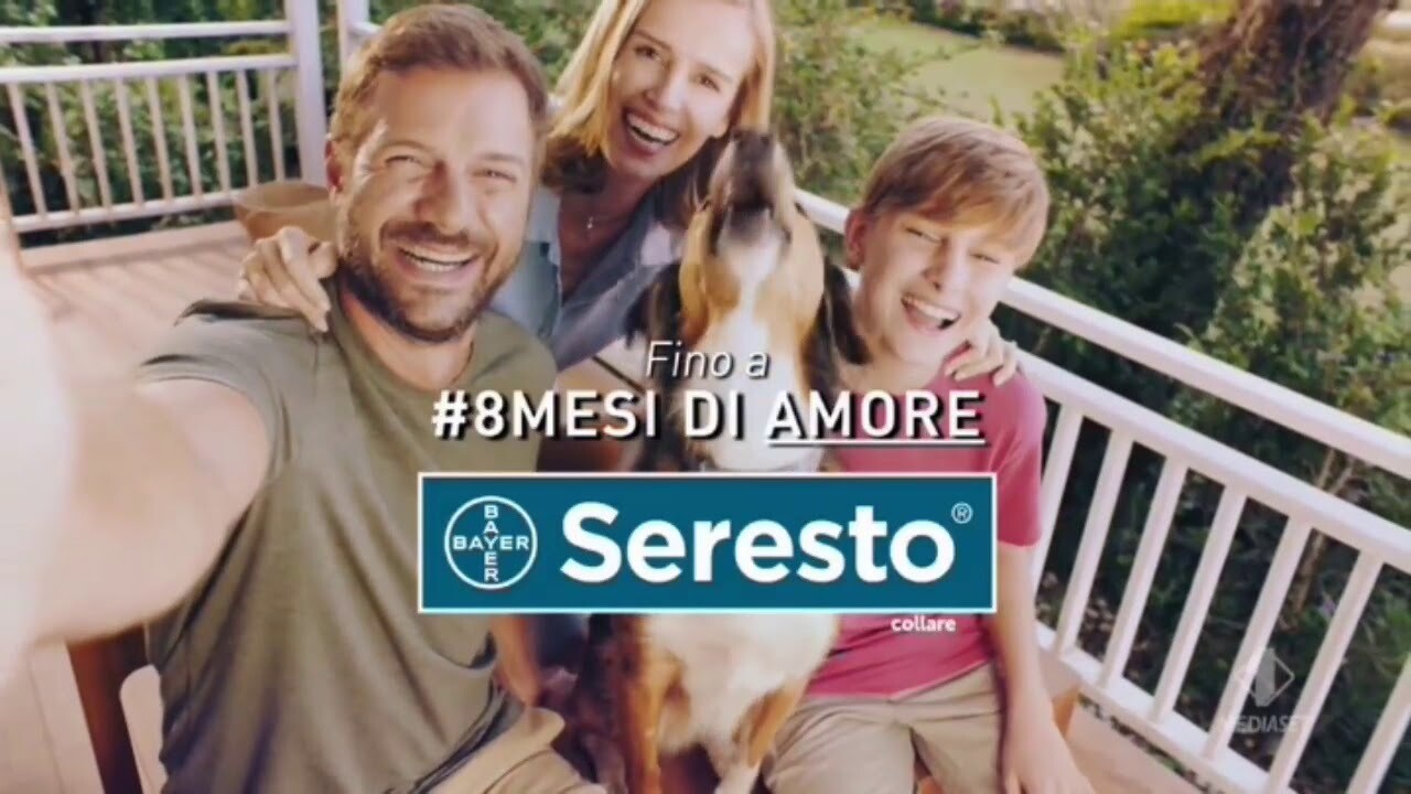 Scegli il Collare Seresto in base al peso del tuo cane