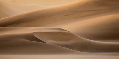 Sand Dune Splendour
