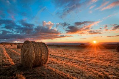 Hay Sunset