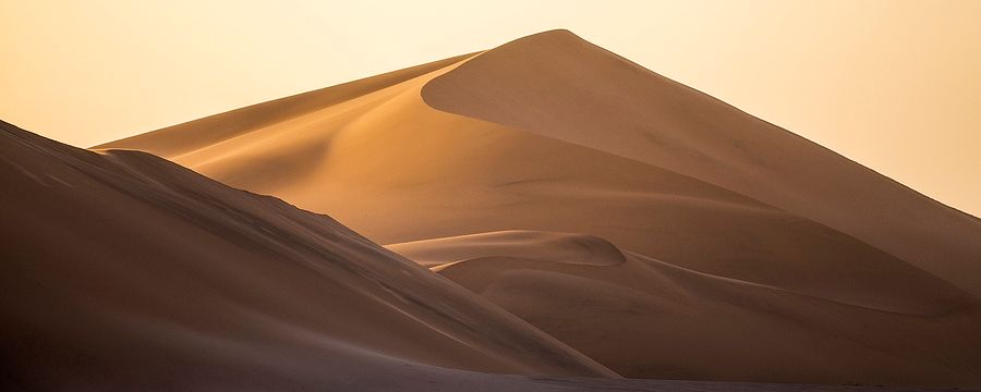 Desert Reverie