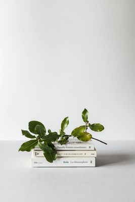 Book Reviews