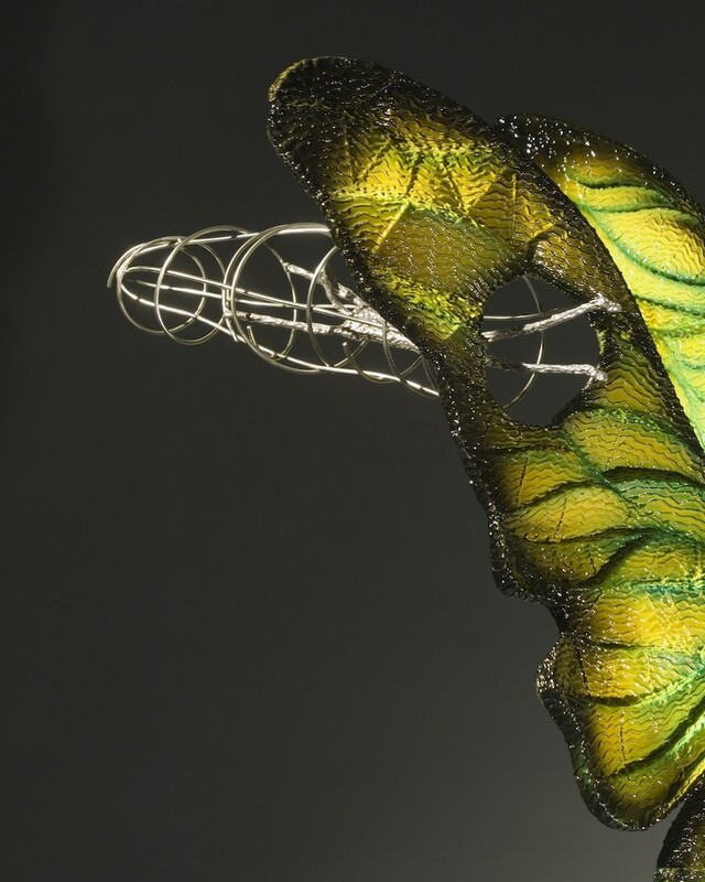 "Metamorphosis"