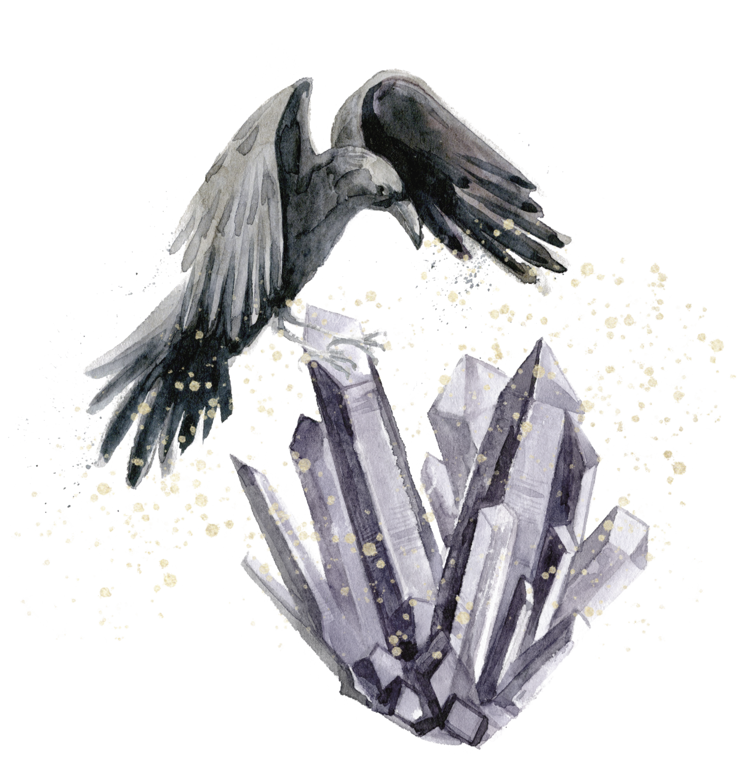 Graphic Element, Raven and Amethyst