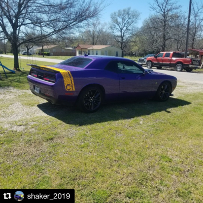 Challenger Tail Stripe Decal