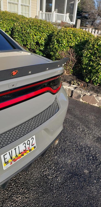 Charger rear bumper trunk protector