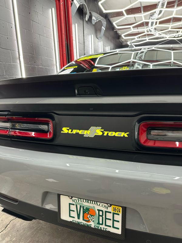 Illuminated Taillight Divider for Challenger (2015-2023)