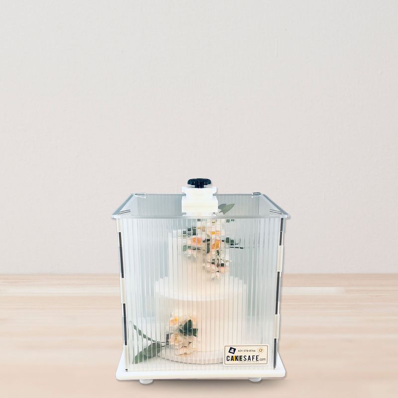 Itsy Bitsy CakeSafe Box