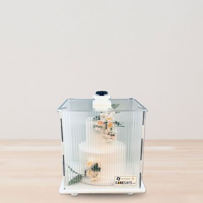Itsy Bitsy CakeSafe Box
