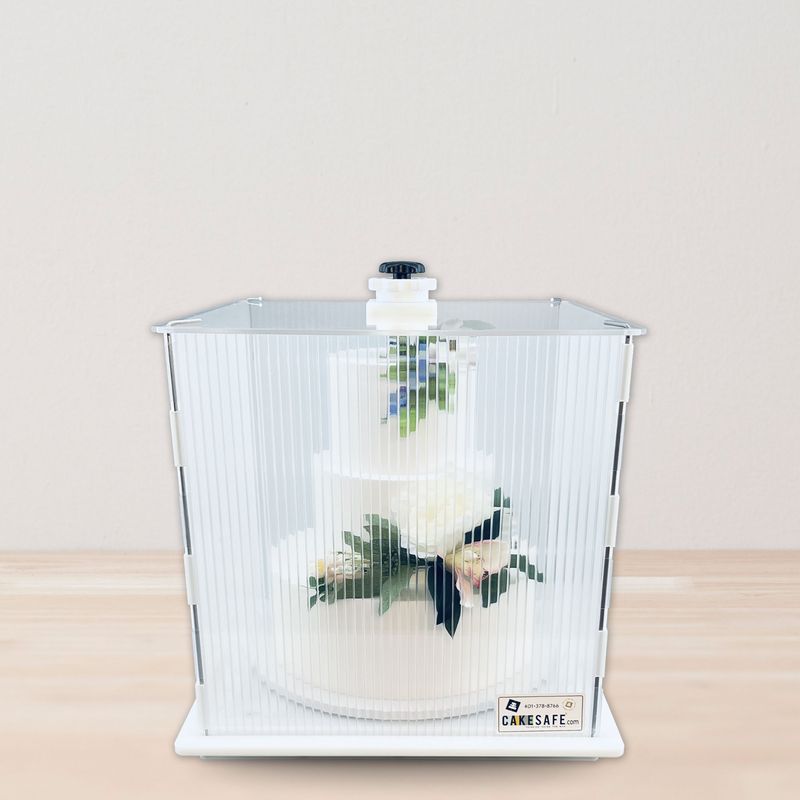 Small CakeSafe Box