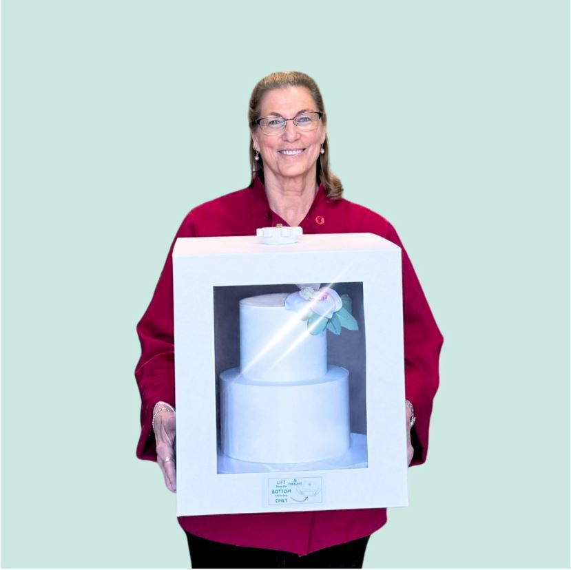 The Cardboard CakeSafe-LITE