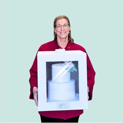 The Cardboard CakeSafe-LITE