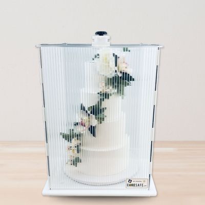 The CakeSafe Cake Transporter 17 x 17 x 22 - Small/Tall