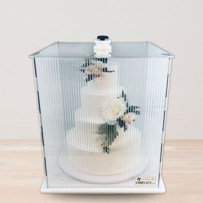 The CakeSafe Cake Transporter 20 x 20 x 22 - Medium