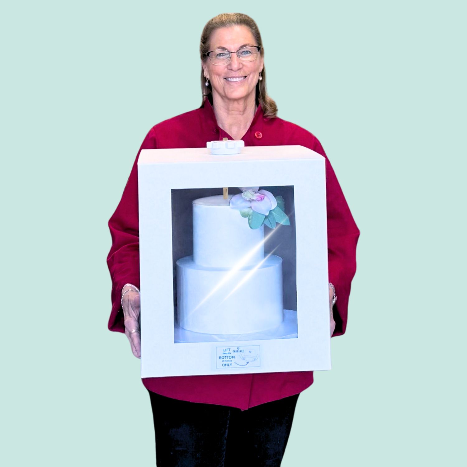 The Cardboard CakeSafe-LITE