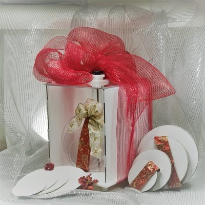 The Mini CakeSafe Gift Bag - 3 Disk Set