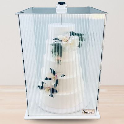 The CakeSafe Cake Transporter — Medium Tall (20 x 20 x 28 Inches)