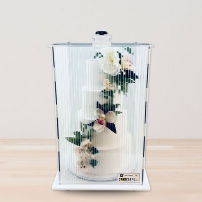 The CakeSafe Cake Transporter 14 x 14 x 22 - Mini/Tall