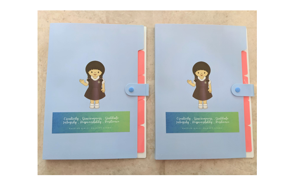 Set of Two Folders with School Values