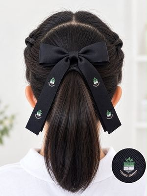 Hair Accessories
