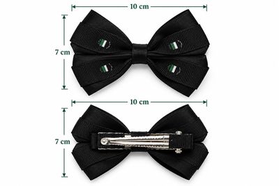 Large Double Layer Bow Hair Clip (2Pcs) 10cm