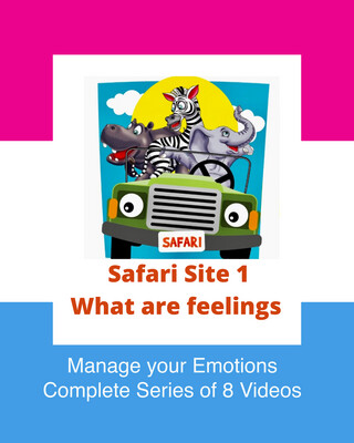 VIDEO - How to Identify and Manage your Emotions (Full 8 Video Package)