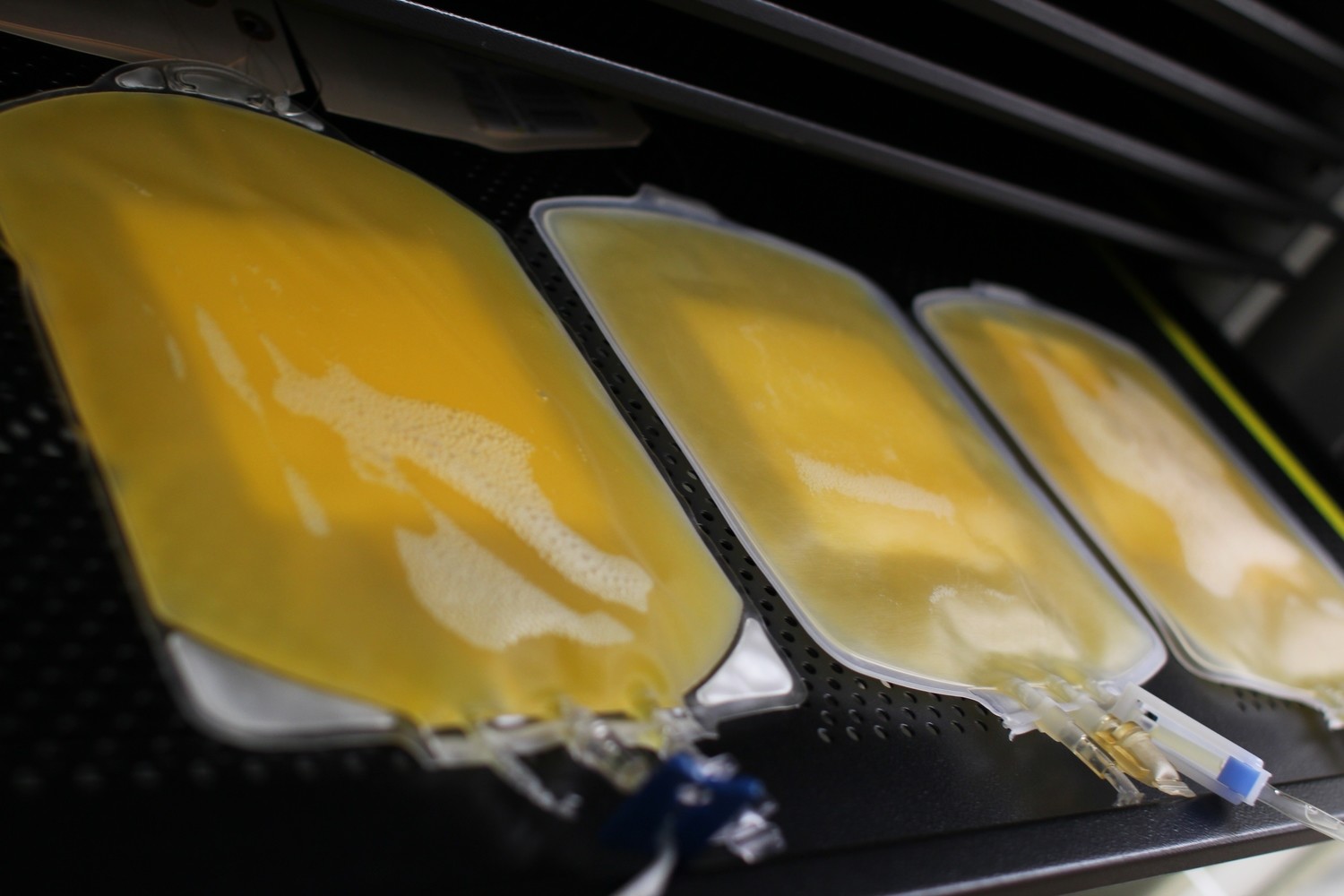 Platelets