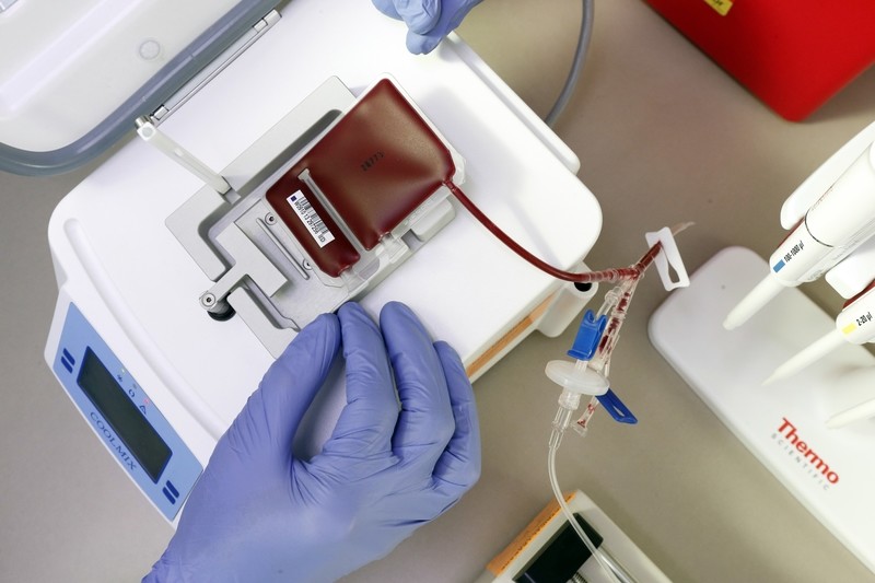 Stem Cells