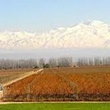 Mendoza - Alto Agrelo