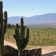 Salta - Cafayate