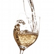 Chardonnay