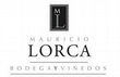 Mauricio Lorca