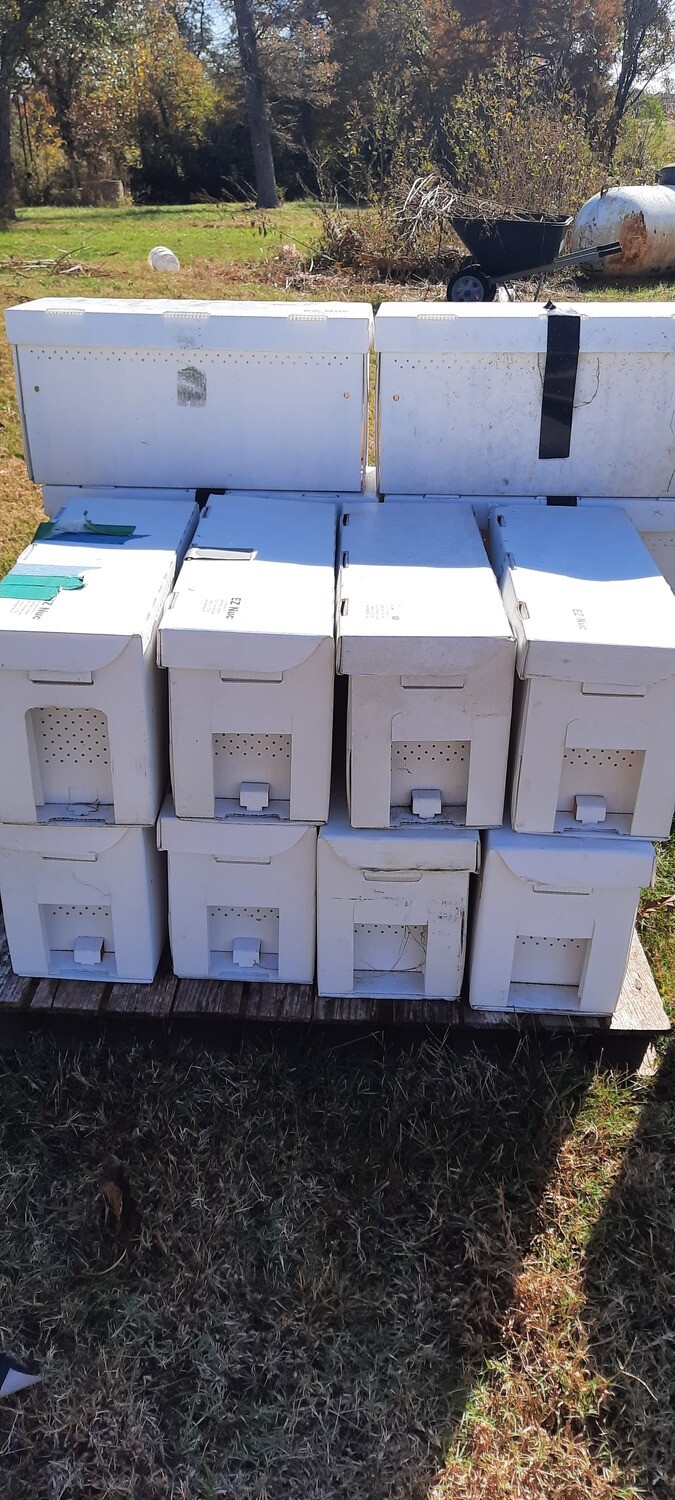 Spring Nucs 2024