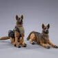 MILITARY DOG 1/18 SCALE