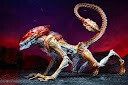PANTHER ALIEN