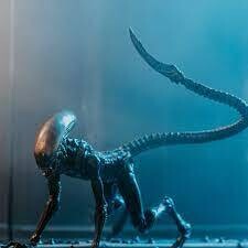 Hiya Toys ALIEN 3: Dog Alien (Look Up) 1:18 Scale 4 Inch Action Figure