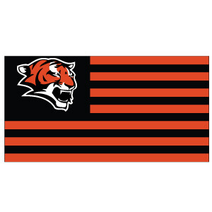 Jr. Tigers Flag