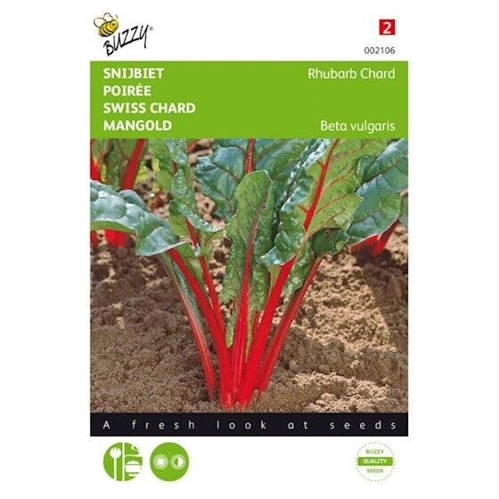 Buzzy® Bieten Red Chard Micro Leaf