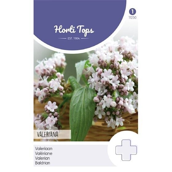 Horti Tops Echte Valeriaan