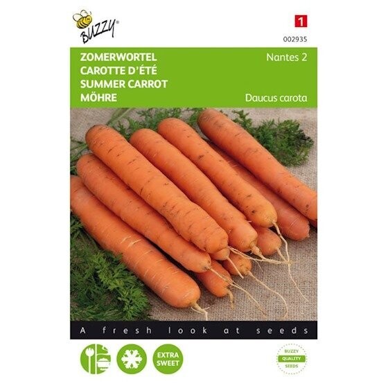 Buzzy® Zomerwortel Nantes 2, halflange Buzzy® Zomerwortel Nantes 2, halflange