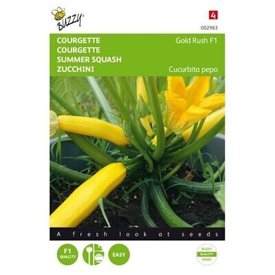 Buzzy® Courgette Gold Rush F1