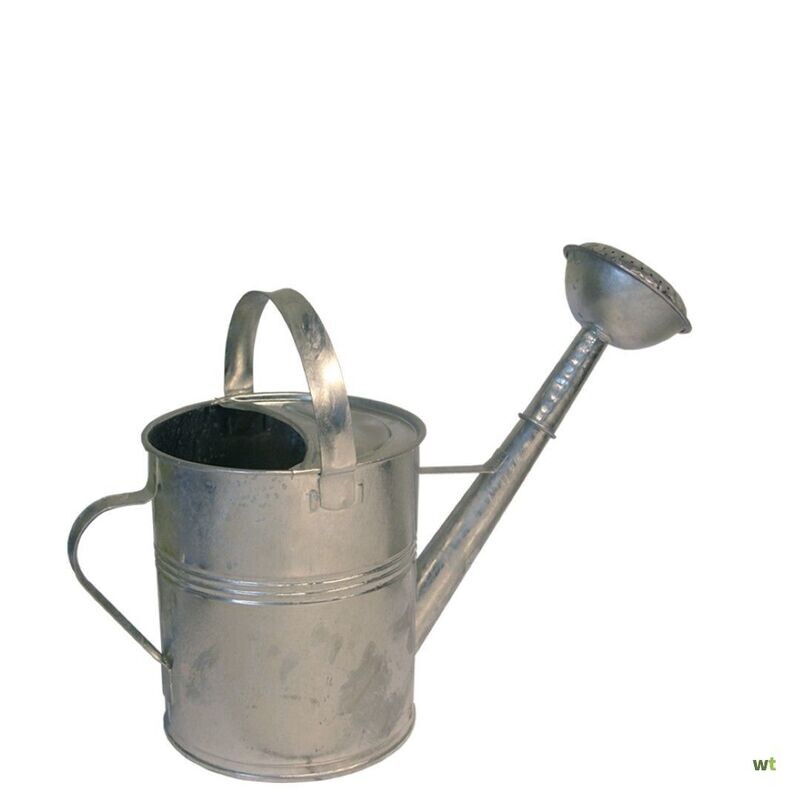 Gieter Old 5 ltr - zink