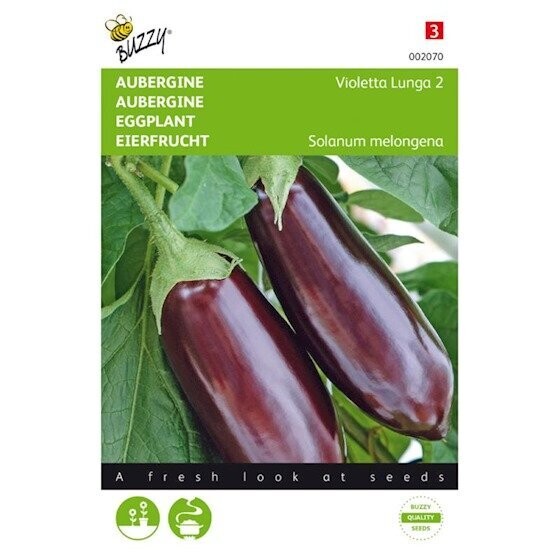 Buzzy® Aubergine Violetta Lunga 2